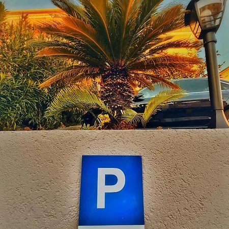 Elysion * تْسْغيكفانِتْسا